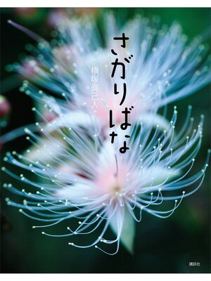 cover image of さがりばな